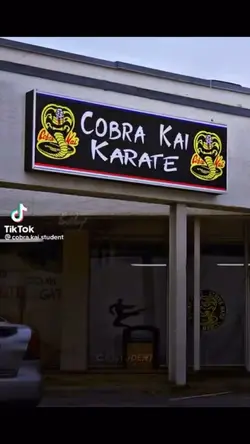 Cobra Kai 😍