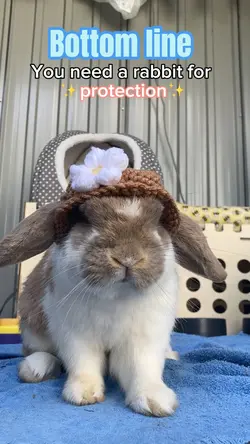 YOU NEED A RABBIT