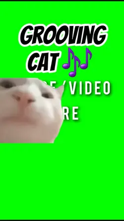Grooving Cat