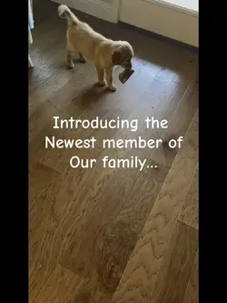 Introducingโฆ