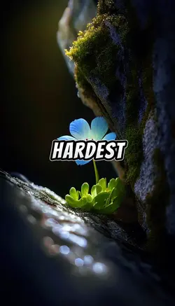 Hardest moves