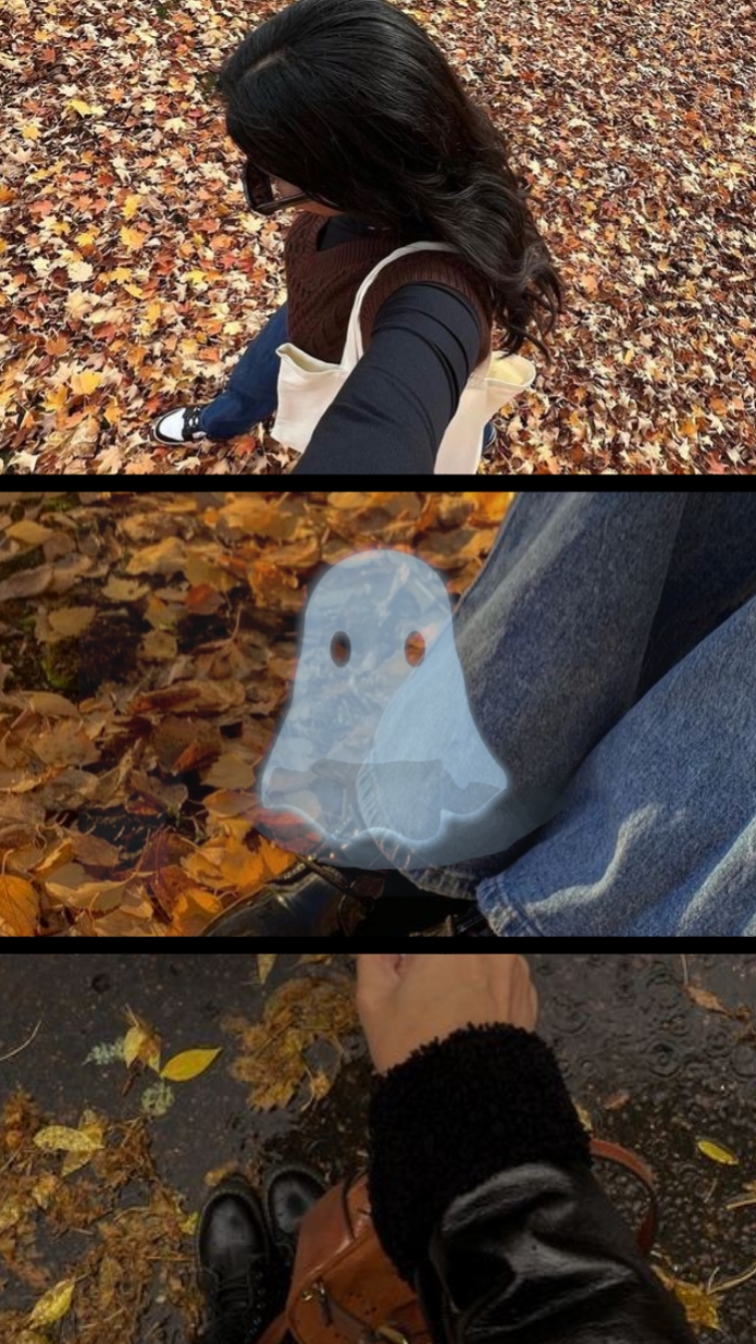 Automne aesthetic 