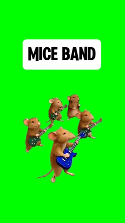 MICE BAND
