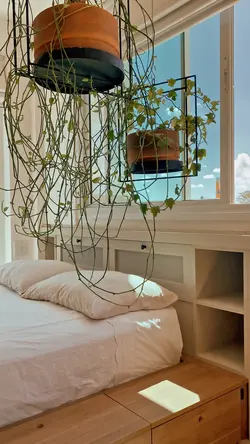 Imóvel alto padrão