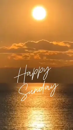 Happy Sunday ❤️