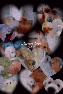 always love you