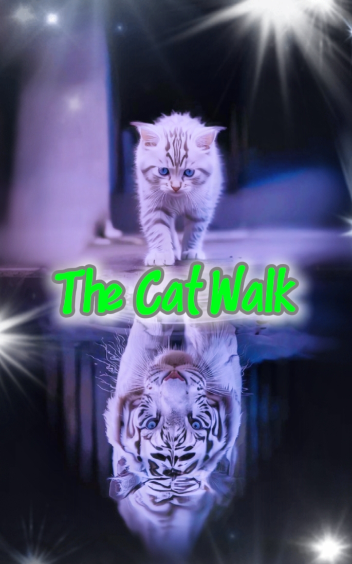 The Cat Walk