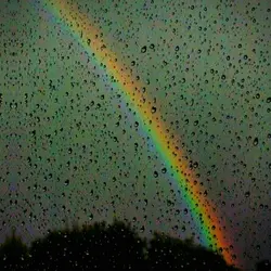 Rainy Day