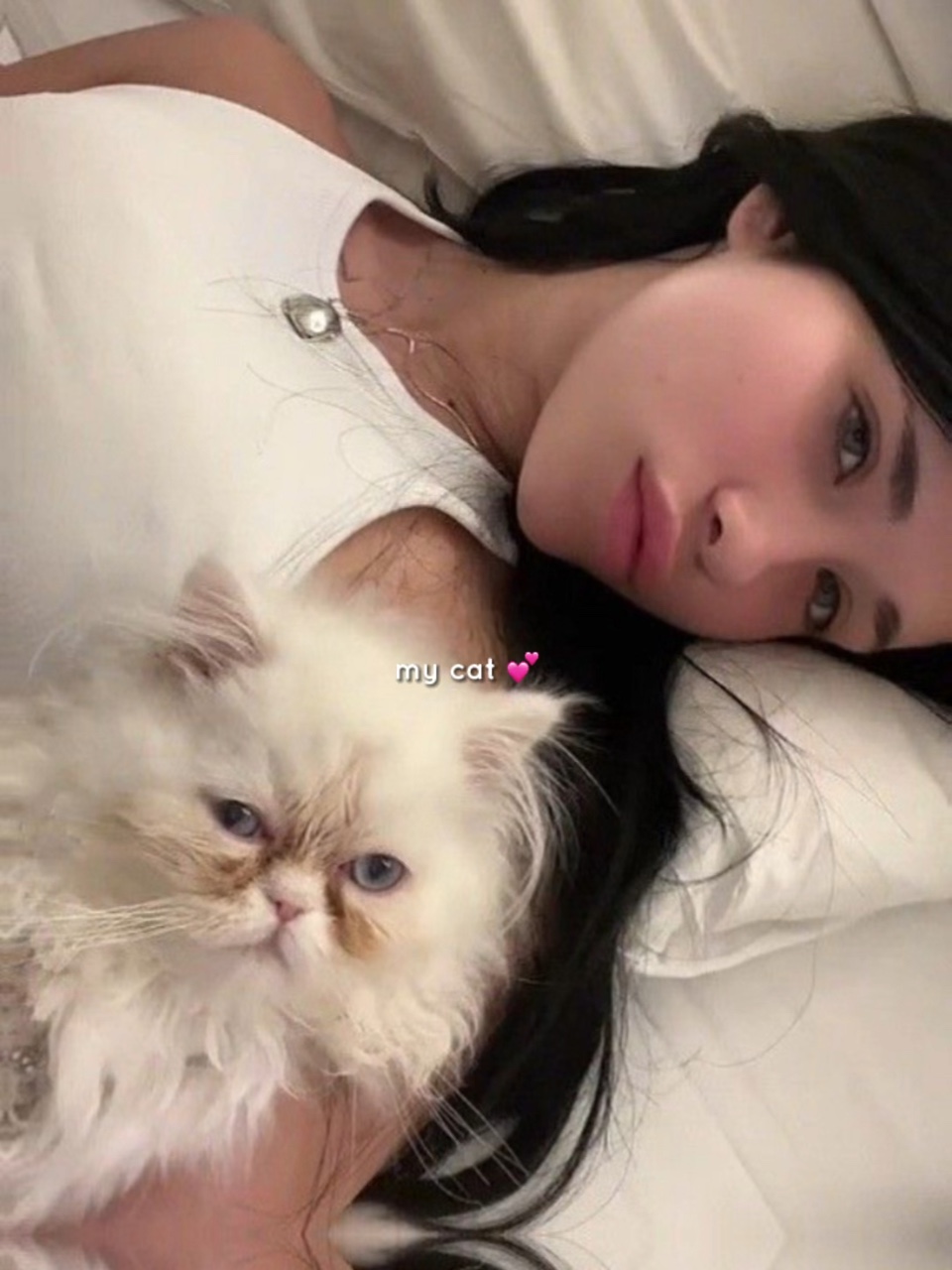 my cat 💗
