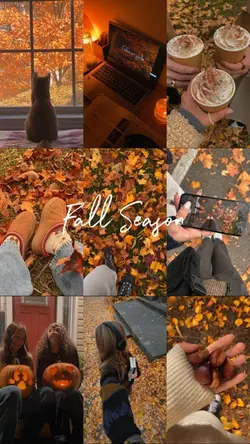 Fall Season 🍂🍁