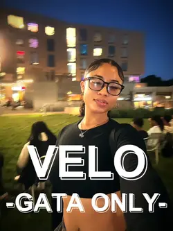 Velo -Gata Only-