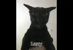 LARRY