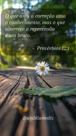 Provérbios 