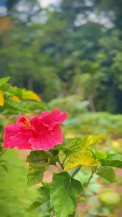 Dia na Fazenda 🍃🏆