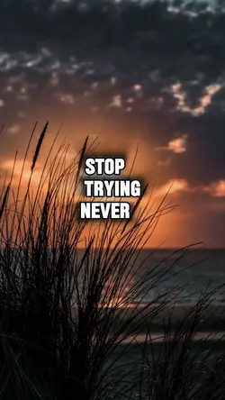 Never stop trying 