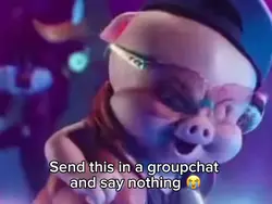 Singing pig
