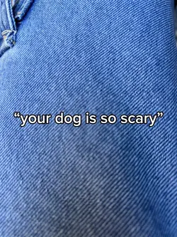 my dog is scary?? 😶