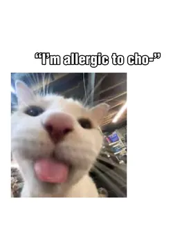 I’m allergic to