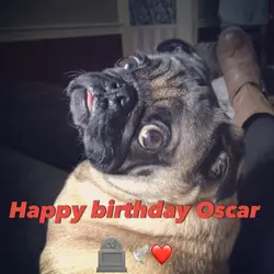I miss you Oscar..