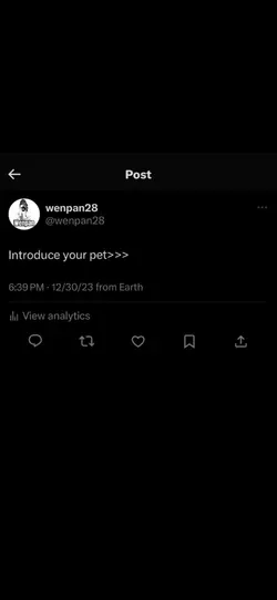 Pet