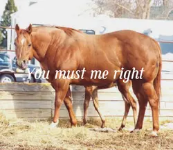 You must me right