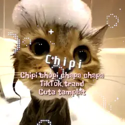 Chipi Chipi daba 