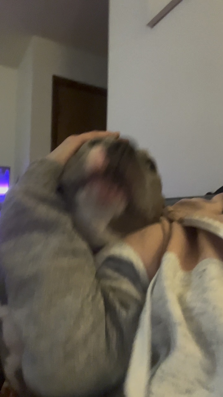 Hundebesitzer