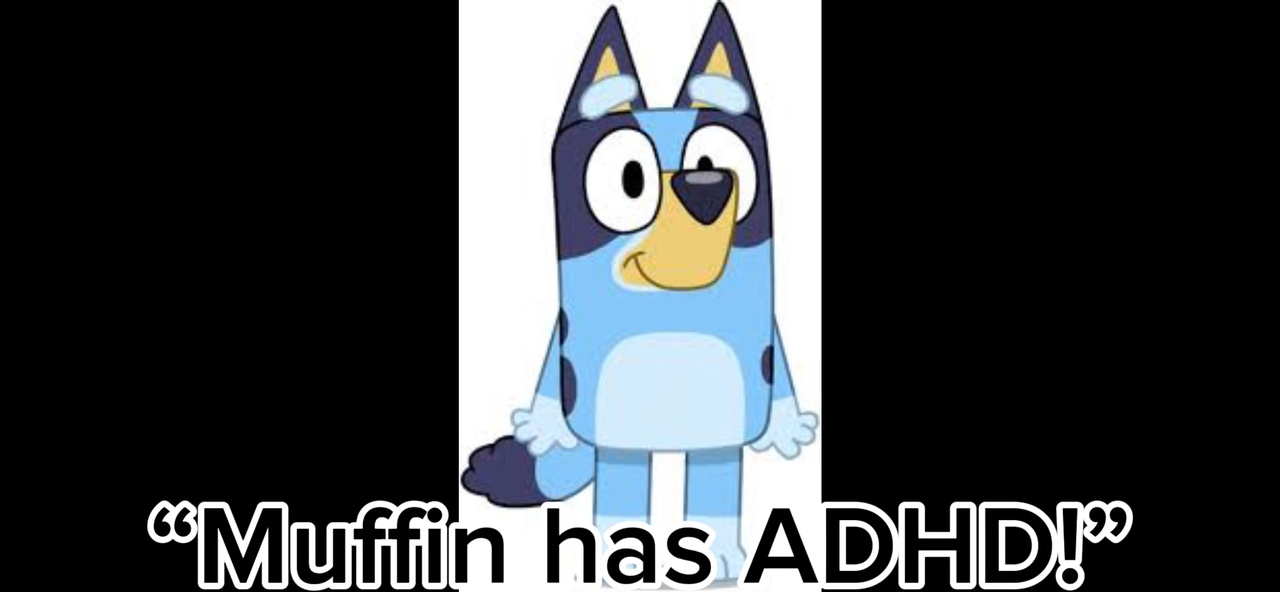 Muffin dosen’t ha-