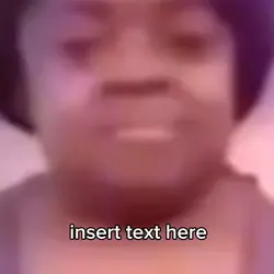 insert text here