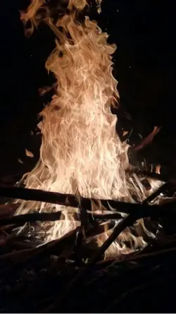 Shoto Todoroki 