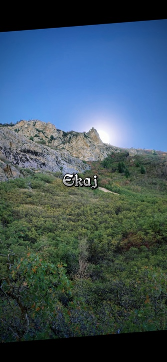Cover Picture