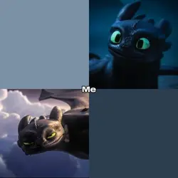 Toothless & Luna♥️