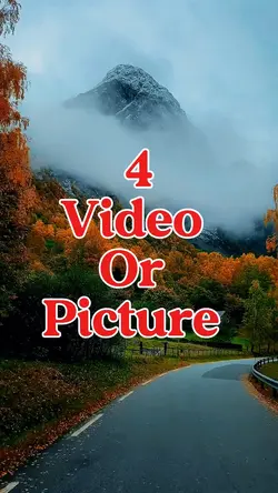 4 video or picture 