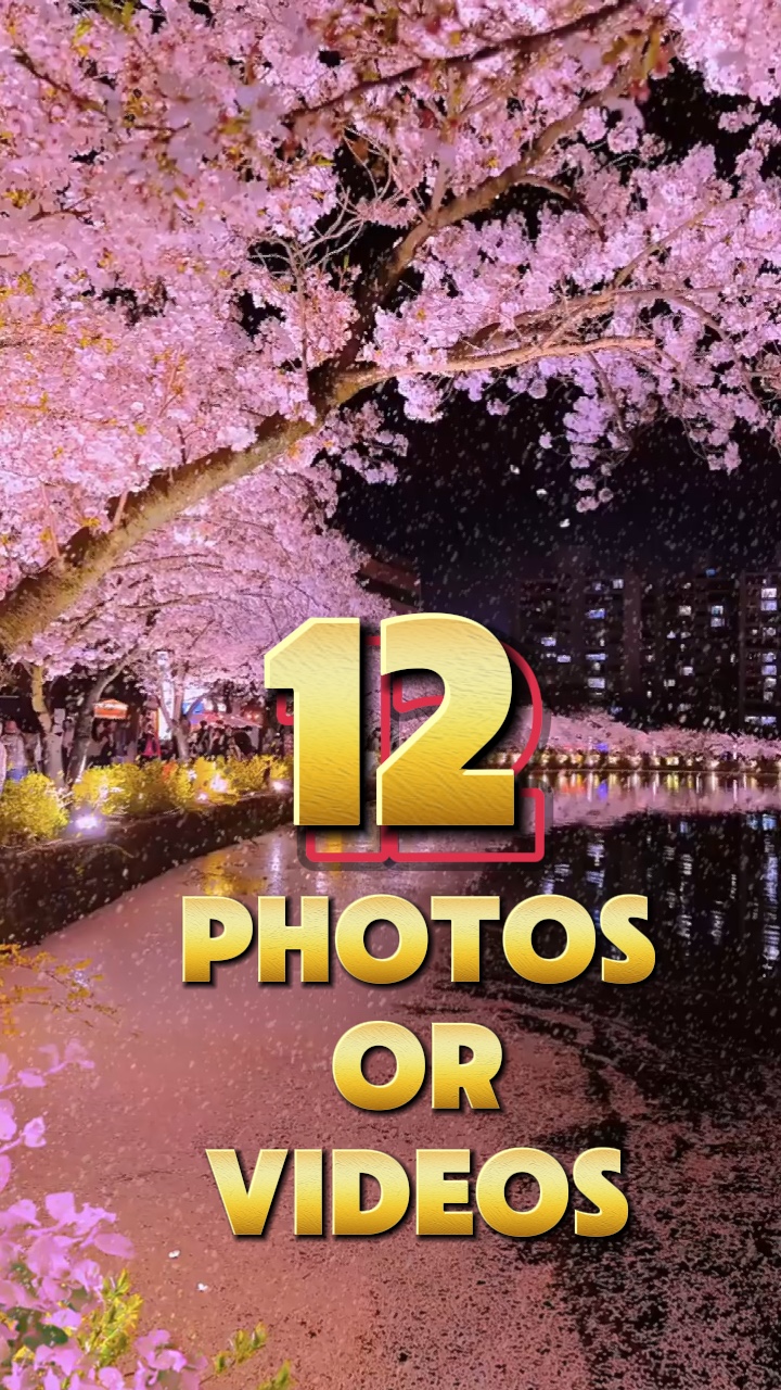 12 fotos o videos