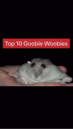 TOP10 GOOBIE WOOBIES