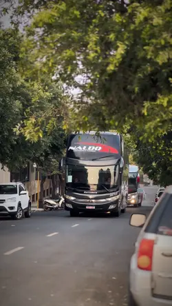 Edição profissional