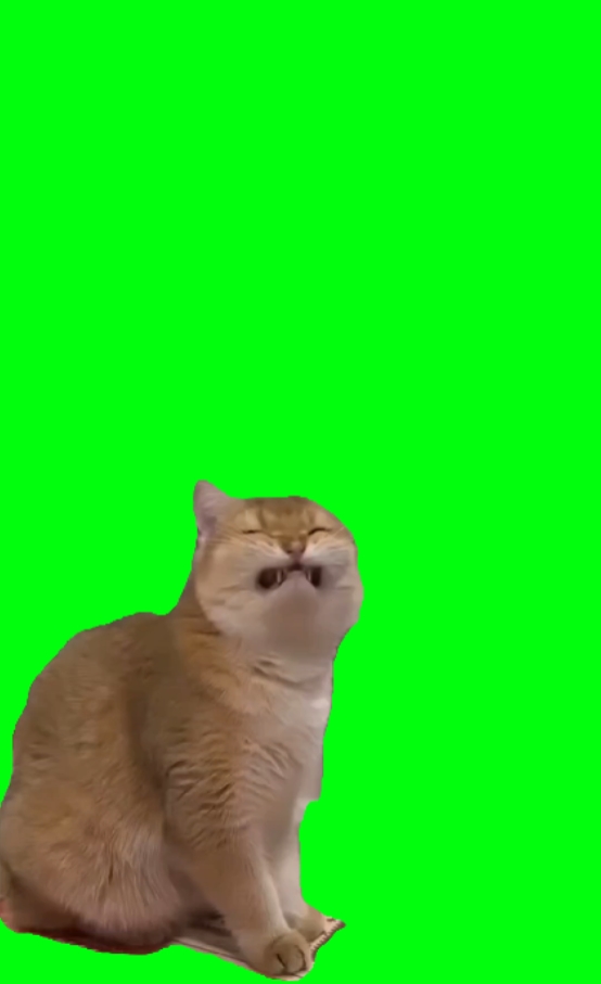 smile cat