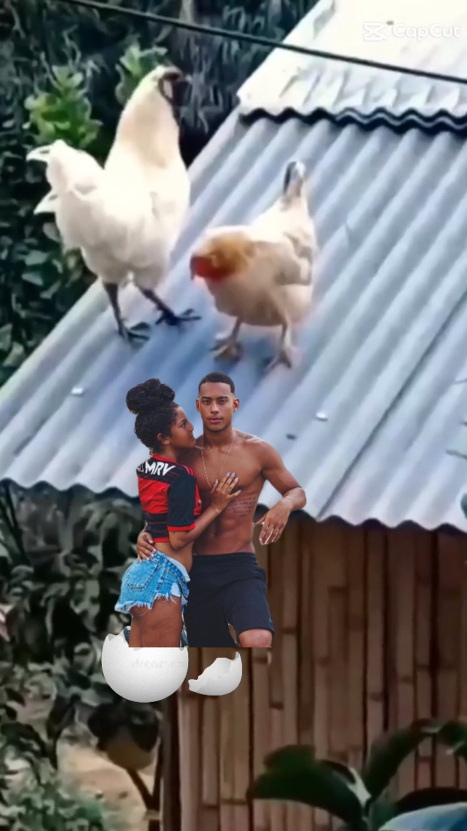Ser feliz c meu Xodo