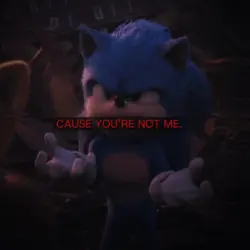 poor sonic