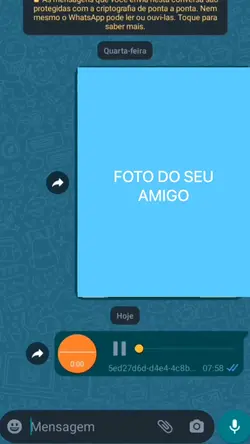 Zoe seus amigos 