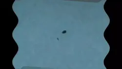 pois agora major 