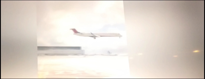 Delta Airlines 2025