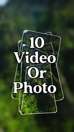 10 video or picture 