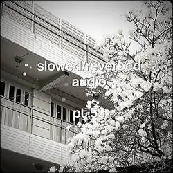 pt53 | slow + reverb