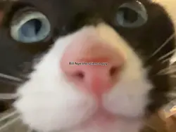 BILL NYE SCIENCE GUY