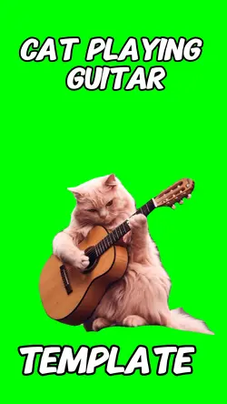 Cat playing guitar