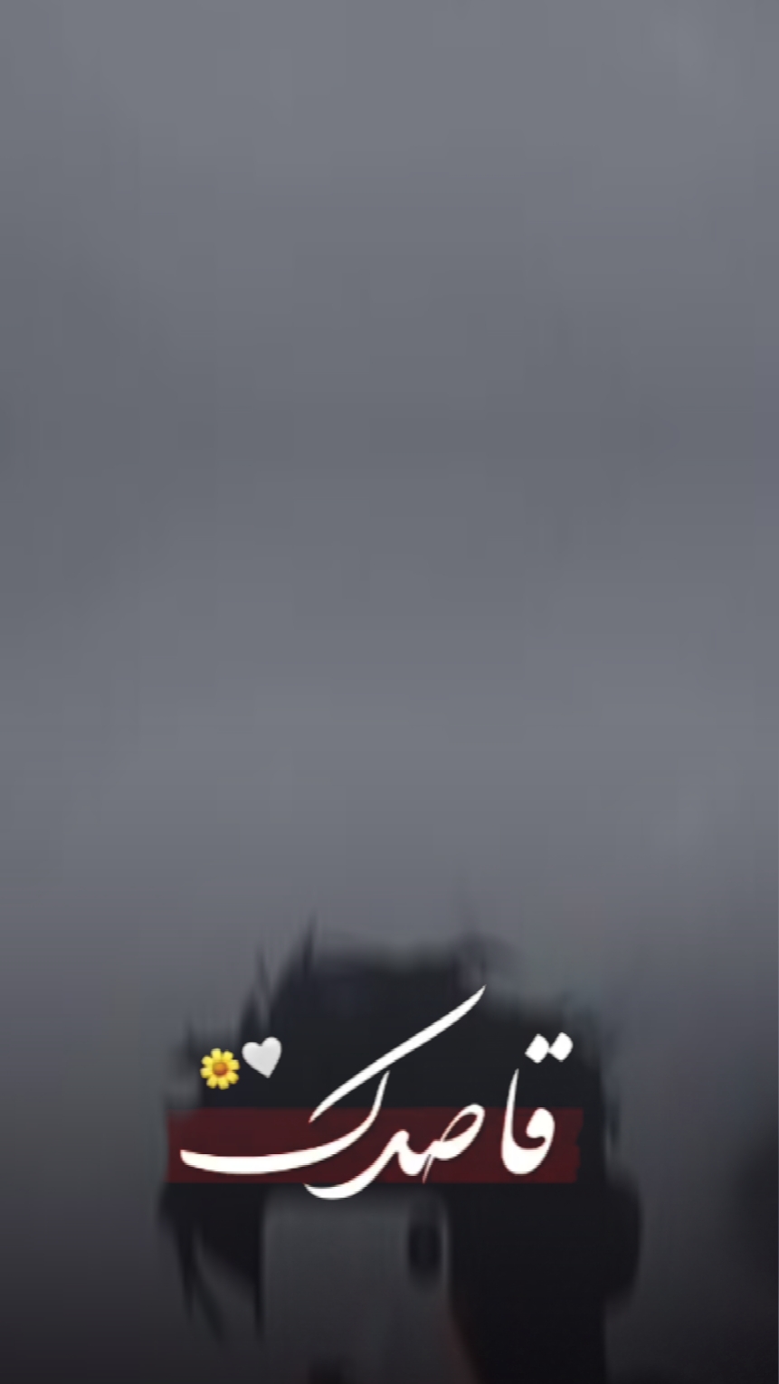قاصدک