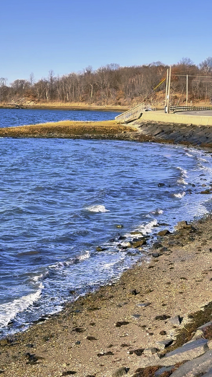 Natures 