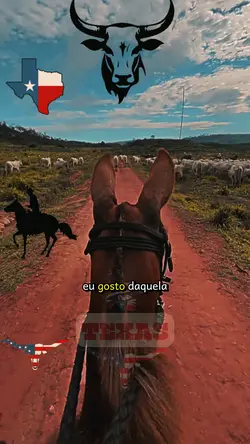 Comitiva