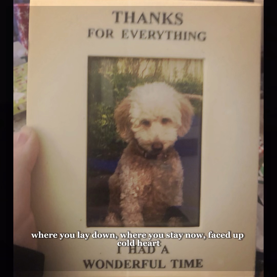 Cover Picture